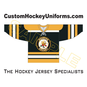 Providence bruins discount jersey
